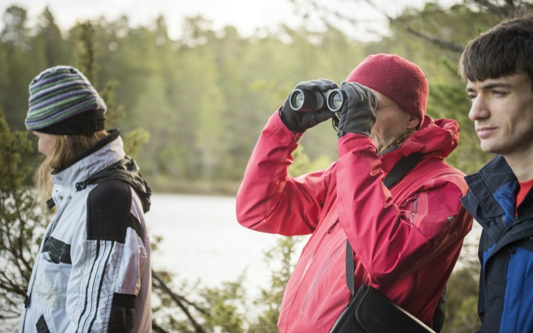 The Campers’ Guide to American Wildlife: What to Expect in the Great Outdoors