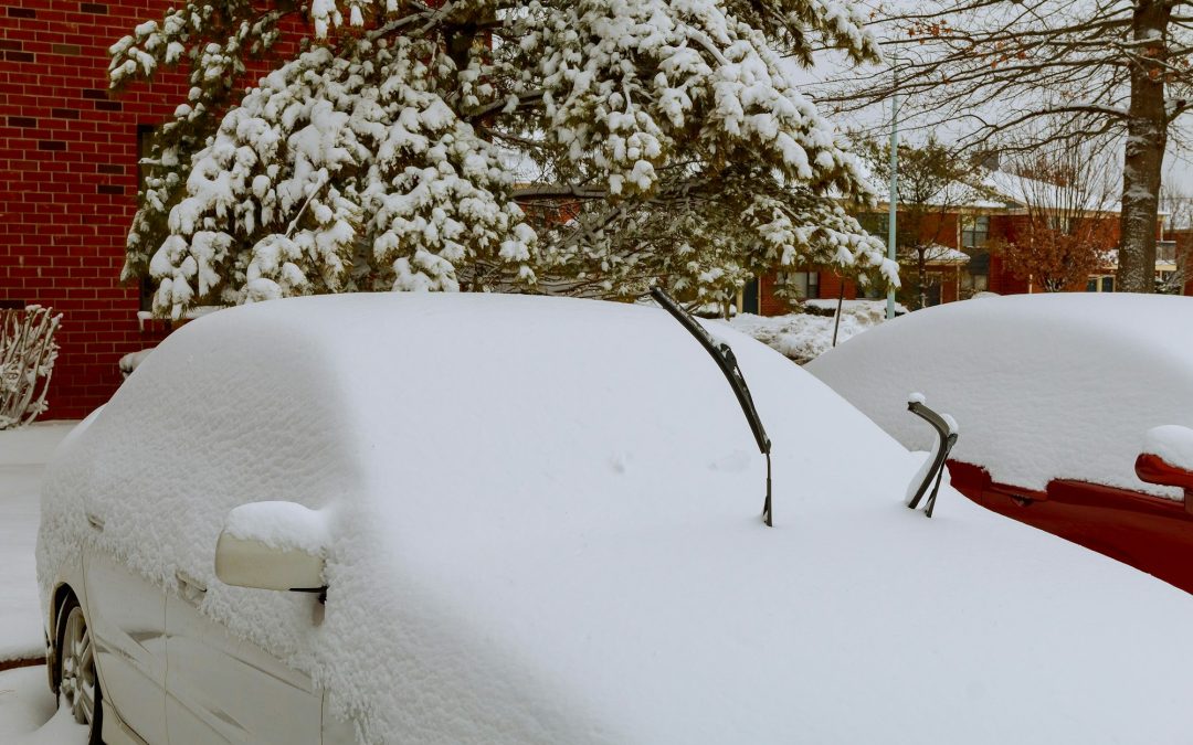 Shielding Your Vehicle from the Fury of Nature: A Guide to Weather Protection